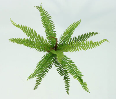 Alternative view of Paprat grozd 45cm