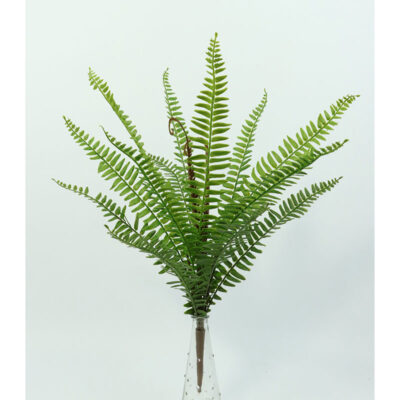 Paprat grozd 45cm