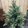 SMREKA E5 PE+PVC V LONČKU, H-90cm - slika 2